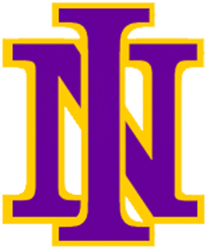 Northern Iowa Panthers 1981-2000 Primary Logo DIY iron on transfer (heat transfer)